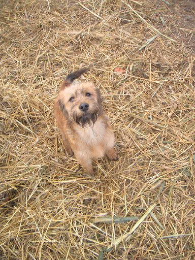 2009_1231_105236AA_resize.JPG