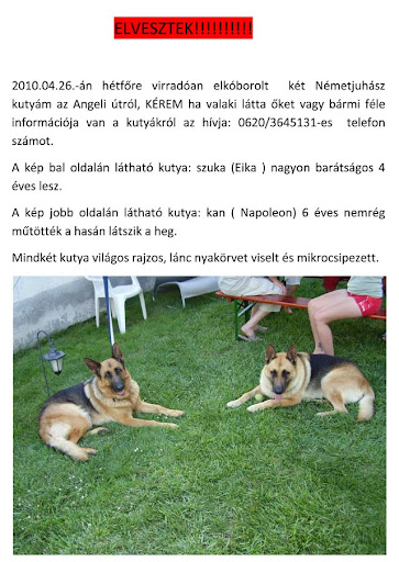 ELVESZTEK_2010-04-28%20copy.jpg
