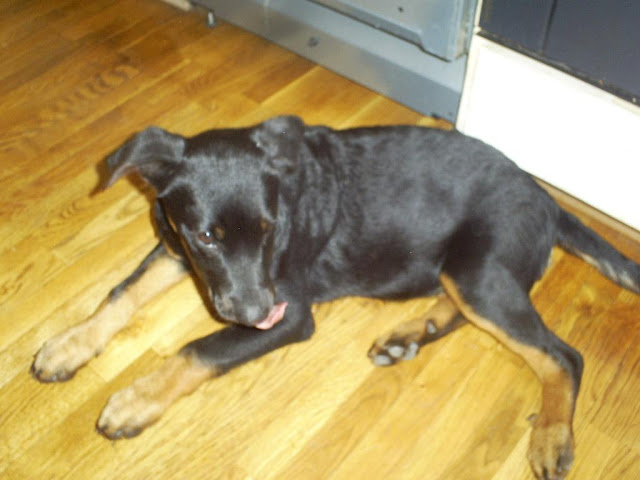 picur6.jpg