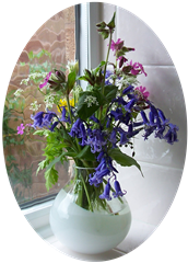 posy of bluebells - red campion - buttercups - cow parsley - wild garlic