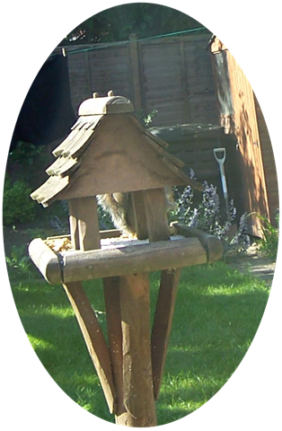 [Squirrel on bird table[4].png]