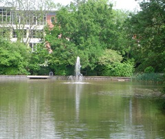 8 foot fountain