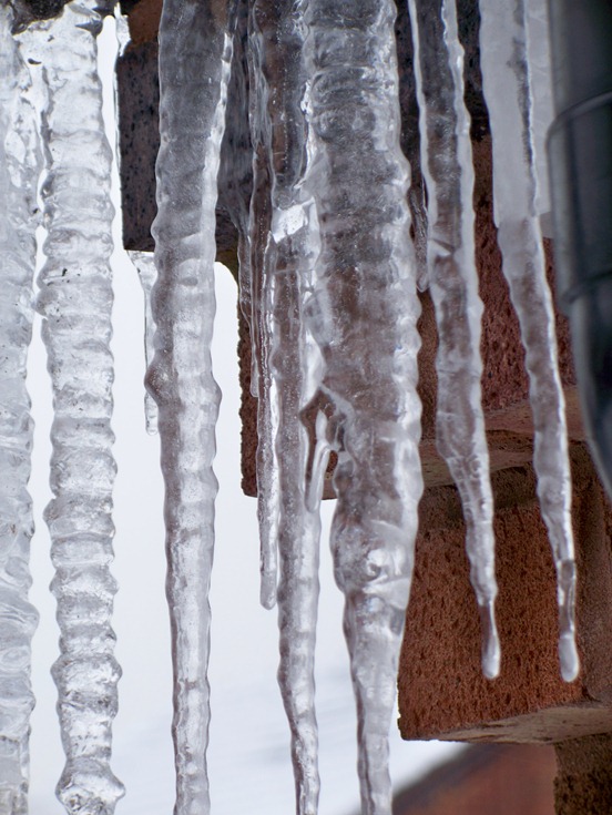 Icicle family 2