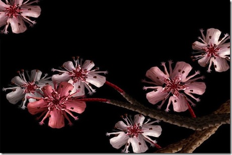 CeceliaWebber-flori de cires umane
