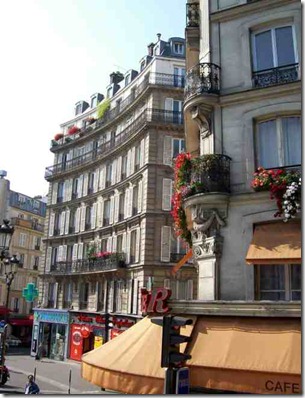 Paris Geraniums