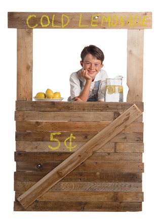[lemonade-stand[5].jpg]