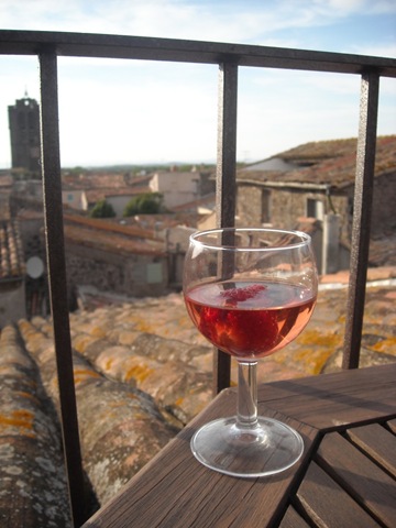 [A Glass of Wine on the Roof Terrace[3].jpg]