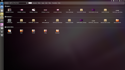 Unity Ubuntu 10.10 files