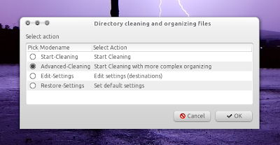 Directory cleaner and files organizer