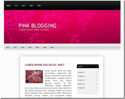 Pink Blogging