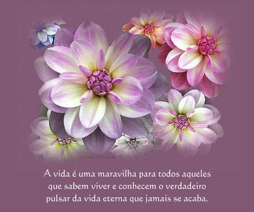 flores5.jpg