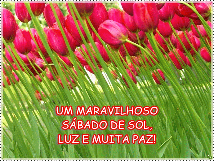 Recado Para Orkut - Amor: 1