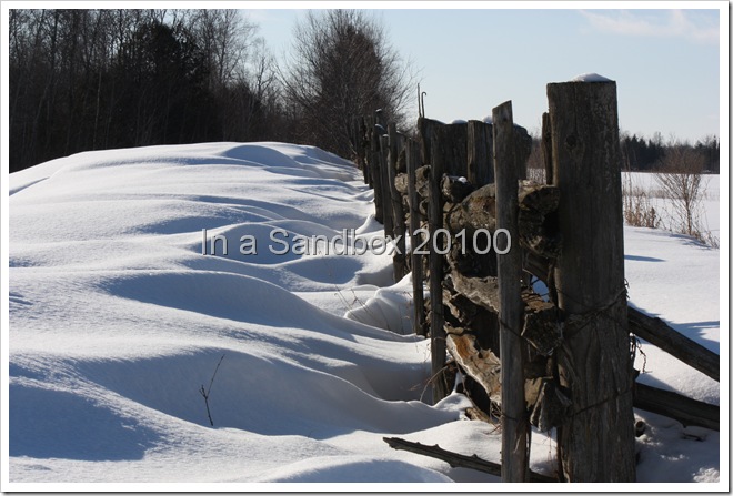 snow on fence 1