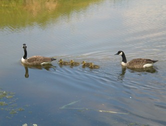 21mei2010 027