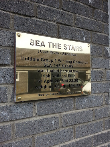 Sea The Stars