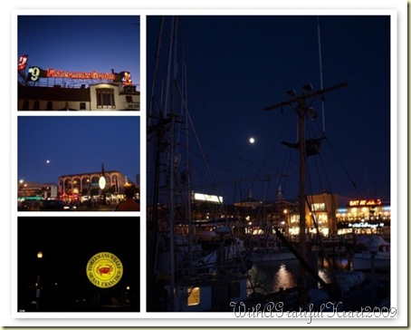 SF - Wharf At Night
