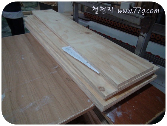 [  ÀDSC05330-20101124[3].jpg]