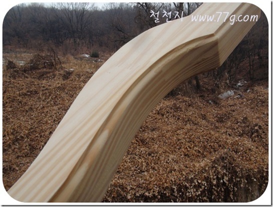 철천지DSC05741-20101208