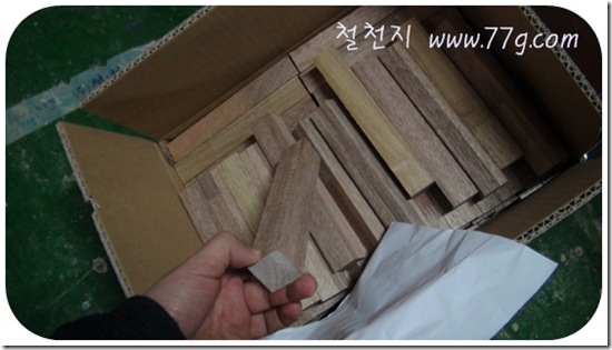 철천지DSC05824-20101213