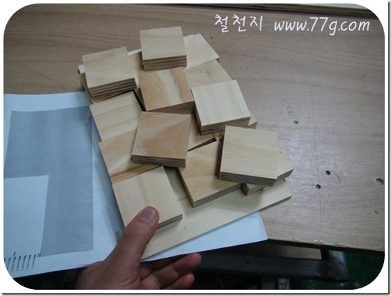 철천지DSC06016-20101221