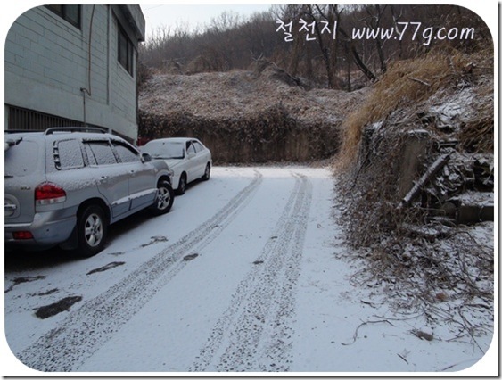 철천지DSC06173-20101227