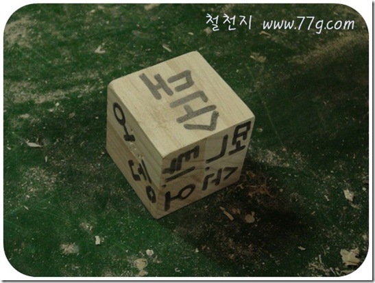 철천지DSC06235-20101229