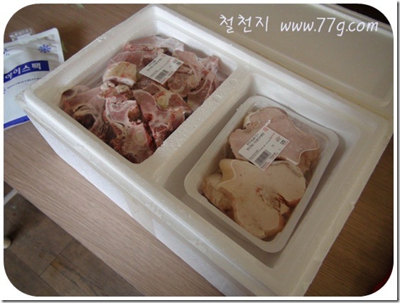 철천지DSC06460-20110112