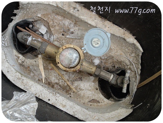 [  ÀDSC06284-20110103[3].jpg]