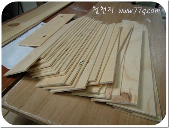 철천지DSC06327-20110104