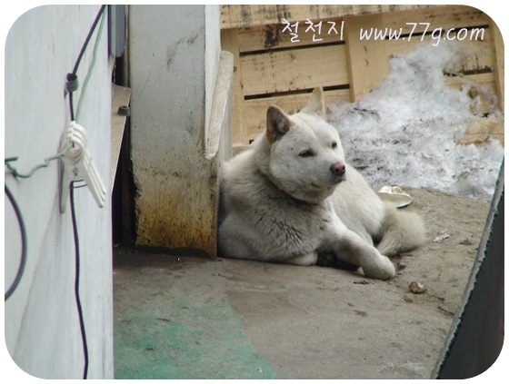 [  ÀDSC06263[3].jpg]