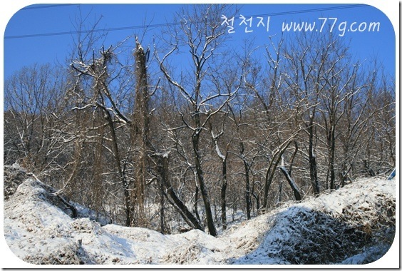 철천지IMG_5692-20110124-170332