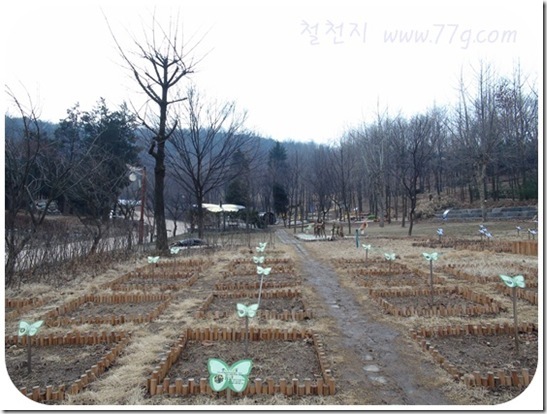 철천지DSC06966-20110305