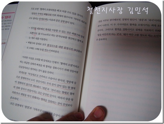 철천지DSC08280-20110426