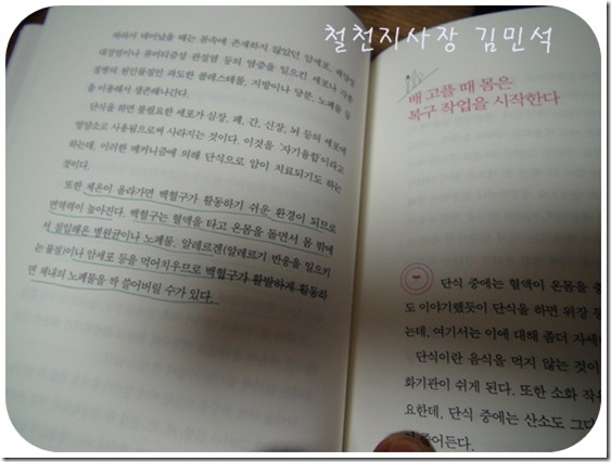 철천지DSC08272-20110426