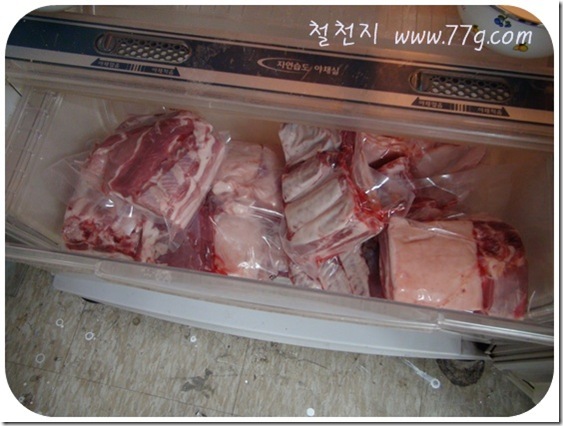 철천지DSC08321-20110426