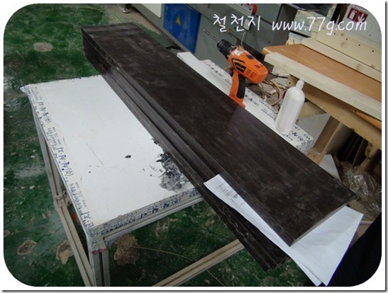 철천지DSC08526-20110504