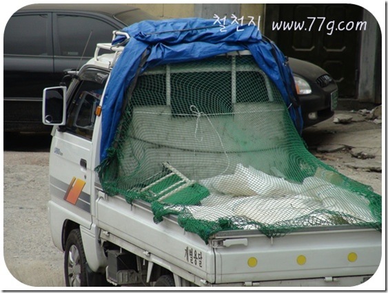 철천지DSC08534-20110506