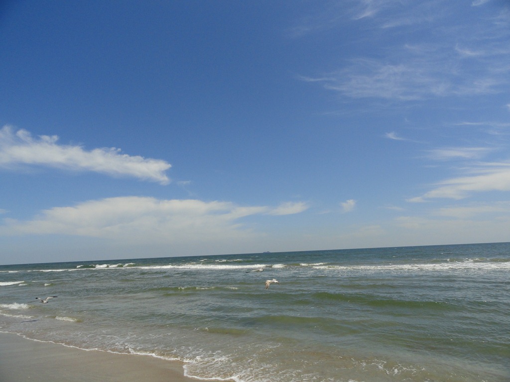 [virginia beach 2011 063[5].jpg]