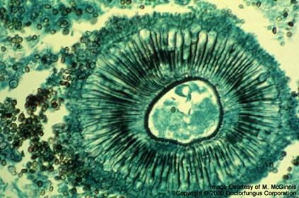 [clip_image002[7].jpg]