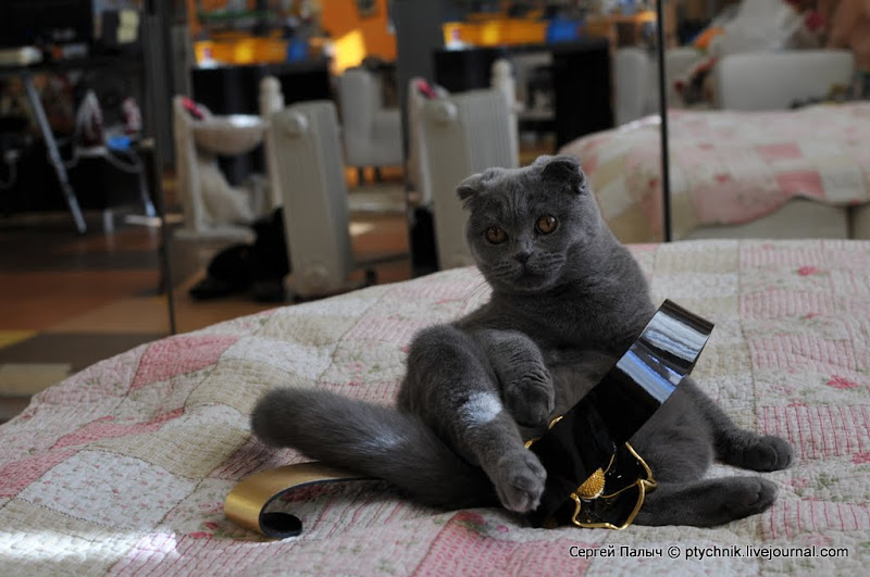 Подарок Черкасова (или как устроиться в жизни) 