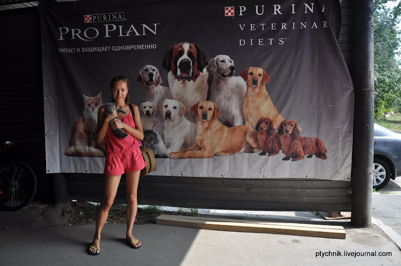 ЗОСЯ ПОЗНАЕТ МИР (ВЕТКЛИНИКА) 