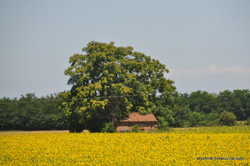ПО ДОРОГАМ ЛОМБАРДИИ-ЛИГУРИИ 