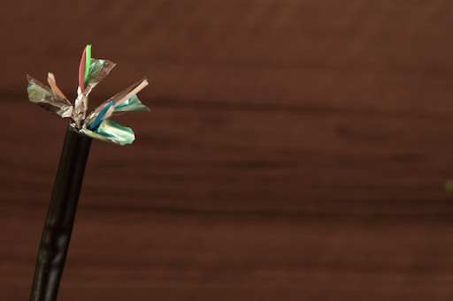 blume%20%20004.jpg