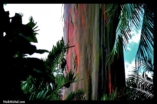 desktop wallpaper