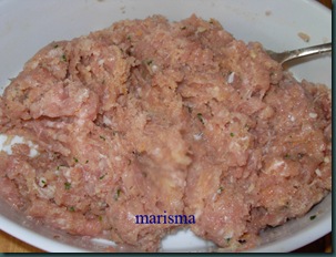 albóndigas de pollo, carne aliñada, (2)