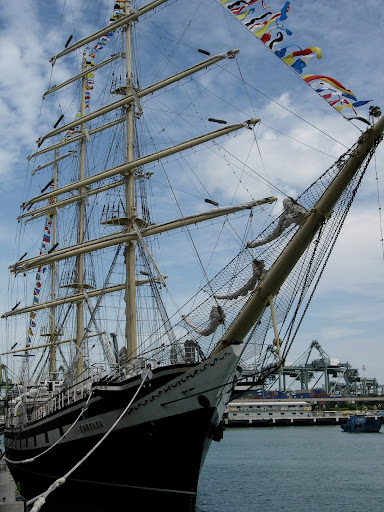 Какая она, Паллада? 