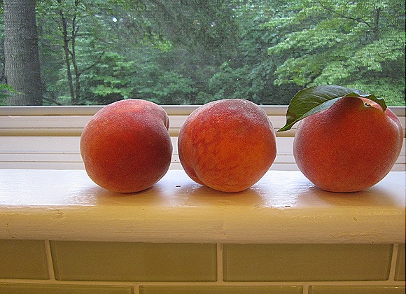 Peaches on a Windowsill