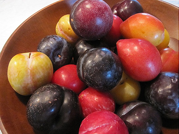 Seven Different Kinds of Plums