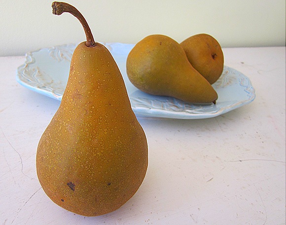 A Still-Life of Pears