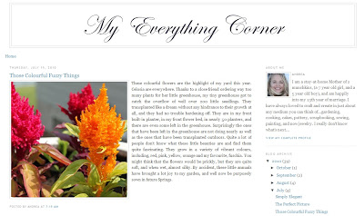 My Everything Corner Blog